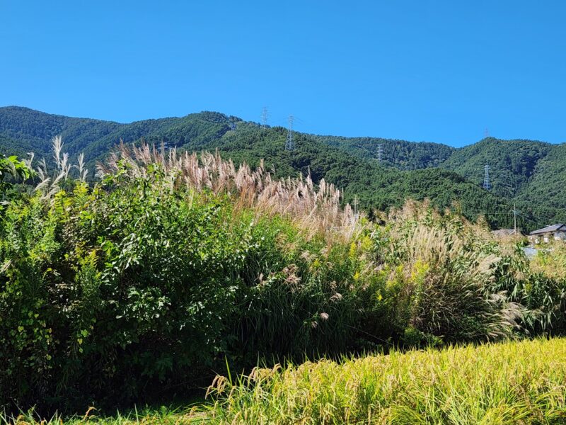 山形村の風景（撮影：チビ）