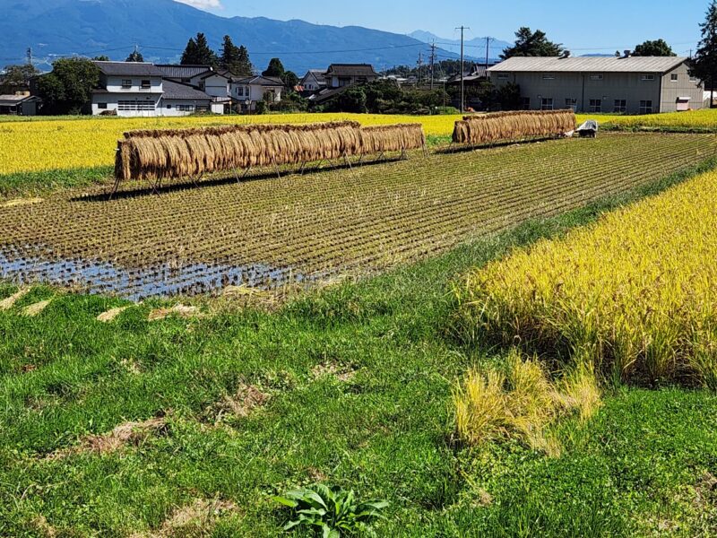 山形村の風景（撮影：チビ）